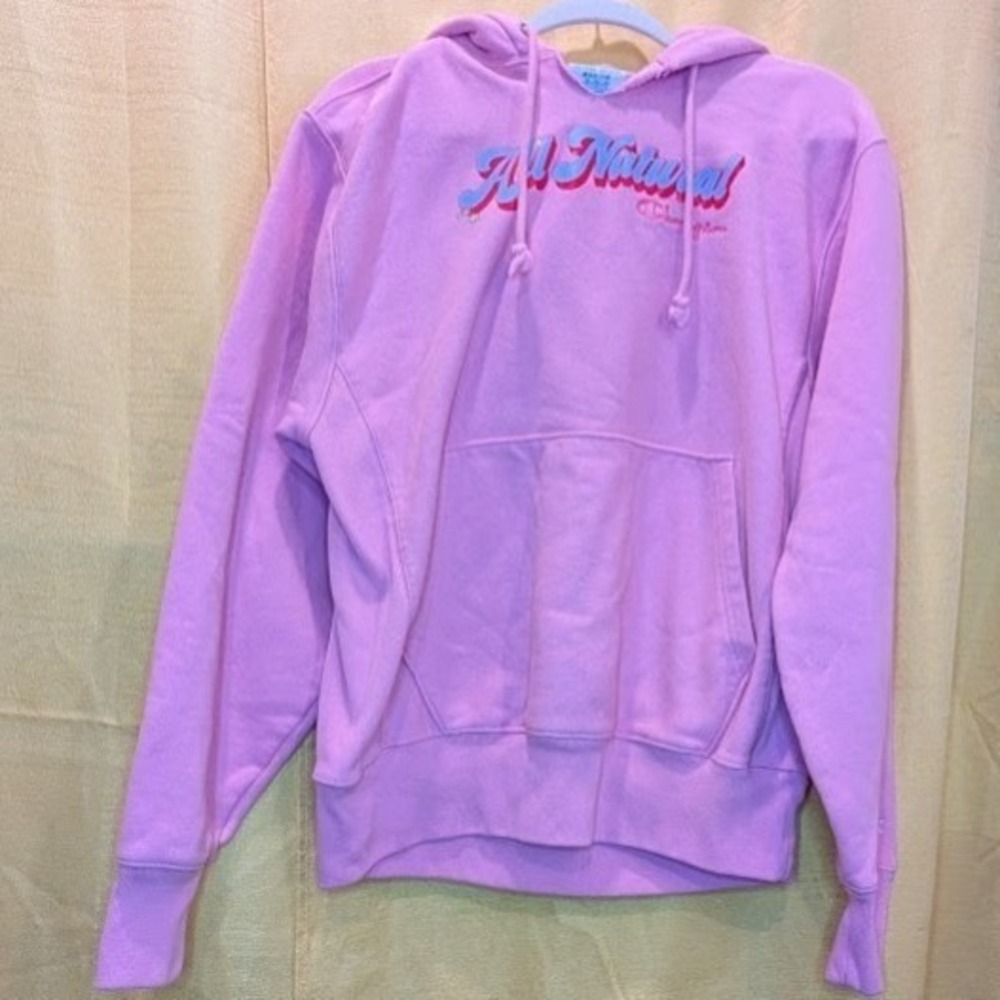 Champions Sweater